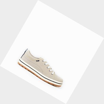 Aigle Lightweight Canvas Trainers Men's Sneakers Grey | 738-KUXQPC