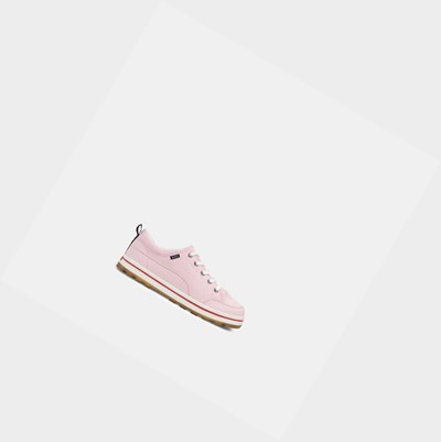 Aigle Lightweight Canvas Trainers Women's Sneakers Pink | 318-QINCHO