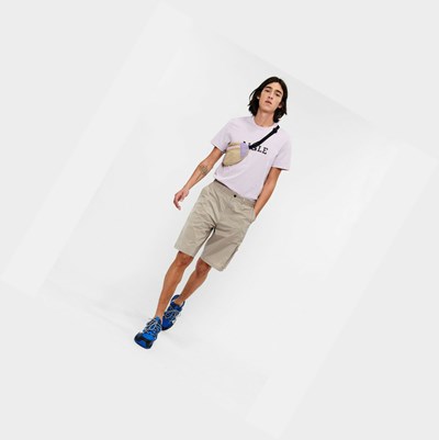 Aigle Packable And Water-repellent Bermuda Men's Shorts Grey | 907-BLPRDE