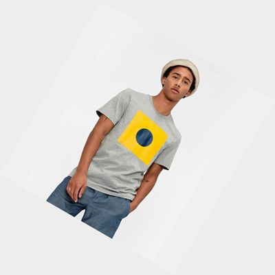 Aigle Technical Crew-neck Men's T Shirts Grey | 983-HBUPLC