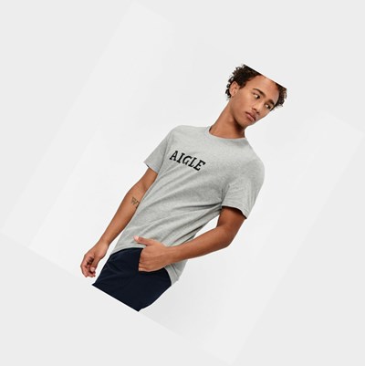 Aigle Technical Men's T Shirts Grey | 930-BRJXDS