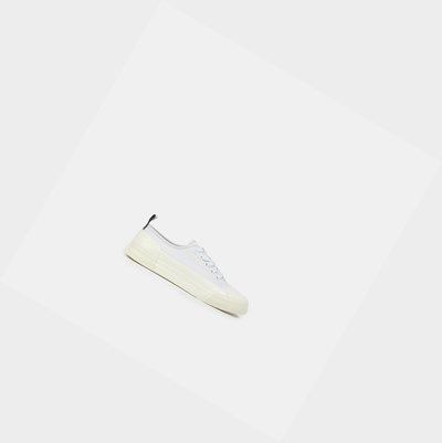Aigle The Eco-friendly Canvas And Rubber Women's Sneakers Grey / White | 289-EHSRNA