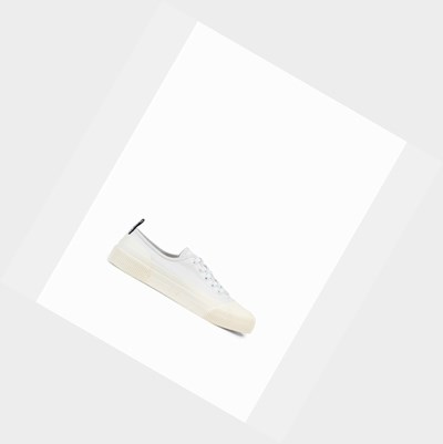 Aigle The Eco-friendly Canvas And Rubber Men's Sneakers White | 325-ZXWKAG