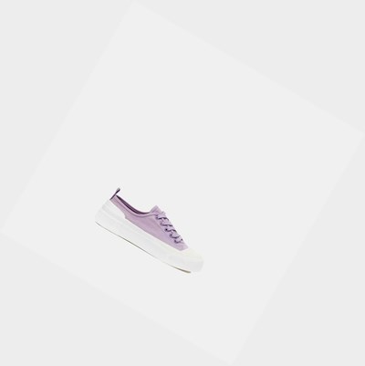 Aigle The Eco-friendly Canvas And Rubber Women's Sneakers Purple / White | 742-OUNARF
