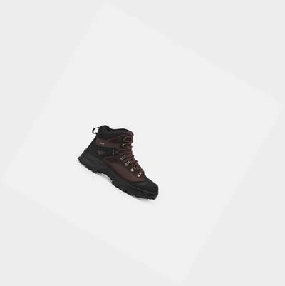 Aigle The Equestrian-inspired Ankle Men's Hiking Shoes Brown / Black | 482-JRCION