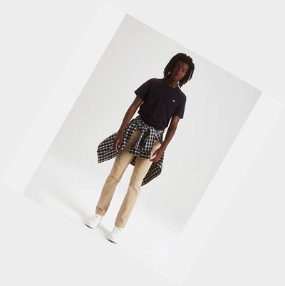 Aigle The Essential Chino Men's Pants Beige | 462-DRBMEZ