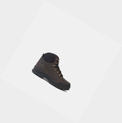 Aigle The Iconic Toddler Boot Men's Walking Shoes Brown | 182-BQEJUD