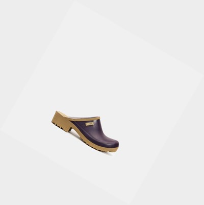 Aigle The Stylish And Feminine Leisure Women's Clogs Purple | 703-QYBTLP
