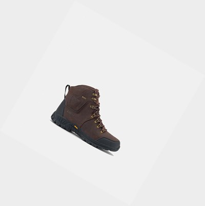 Aigle The Waterproof And Breathable Leather Safety Footwear Range Men's Walking Shoes Brown | 762-DVGIXB