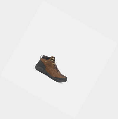 Aigle Waterproof And Windproof Men's Hiking Shoes Brown | 364-WSDNGT