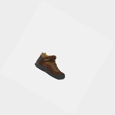 Aigle Waterproof Leather Men's Walking Shoes Brown | 342-YKNGHE